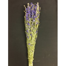 LARKSPUR  25" Dark Blue - OUT OF STOCK
